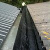 coating for roof gutters