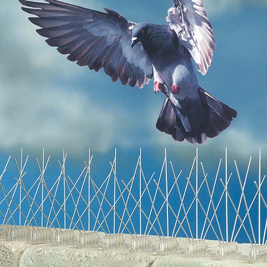 Bird Deterrent Guards